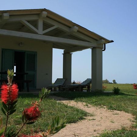 Agriturismo Podere 678 Гросето Екстериор снимка